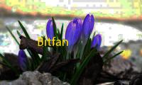 Bitfan